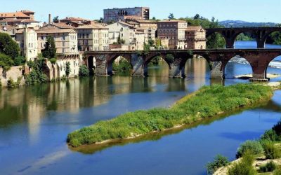 Trouver un emploi à Albi sans diplôme : Guide complet