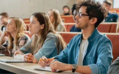 Quelles Licences après un BTS MCO ? Le guide complet pour réussir sa poursuite d&rsquo;études