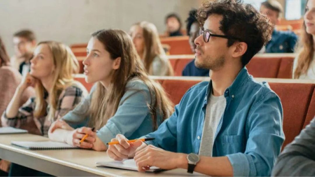 Quelles Licences après un BTS MCO ? Le guide complet pour réussir sa poursuite d&rsquo;études