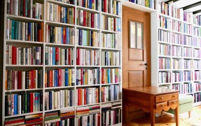 Réussir son BTS MCO : Du choix de vos livres aux débouchés de demain