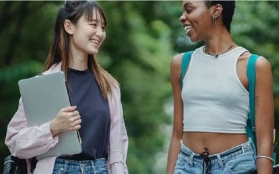 Quels stages peuvent être effectués en BTS NDRC ?
